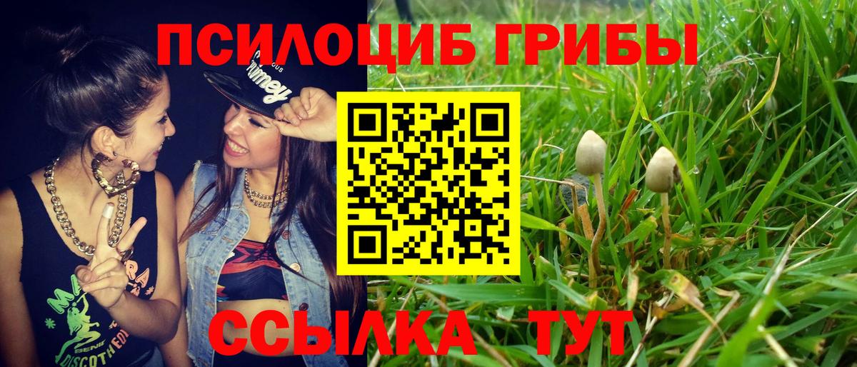 Псилоцибиновые грибы MAGIC MUSHROOMS Рязань
